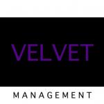 Кастинг в международно модельное агентство Velvet Management в Екатеринбурге 31-го марта в 17: 00.