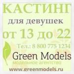 Вчера состоялся кастинг от модельного агентства Green Models, в течении 5-ти часов, через меня прошло 17 моделей.